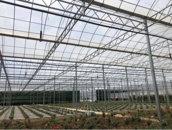 建設(shè)溫室大棚的技巧你知道哪些呢？