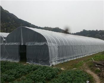 陜西單體大棚
